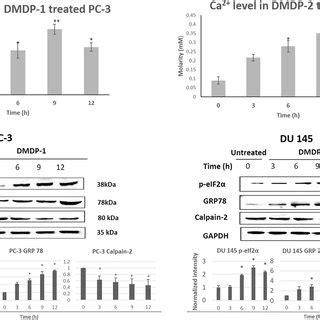dmdp meaning|DMDP II: STRATEGY AND EXECUTION (Pharmaceutical .